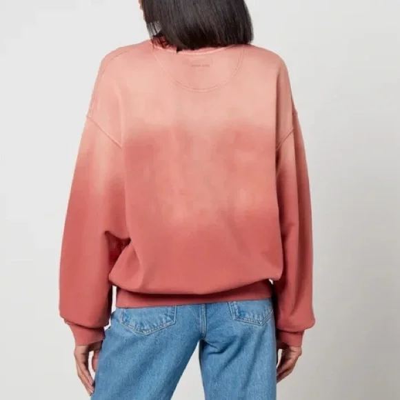 ANINE BING Jaci University Paris Cotton Sweatshirt in Washed Faded Terracotta - Picture 6 of 16